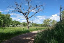 Coal Creek Trail - Lafayette, CO景点图片