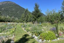 Pemberton Creek Community Garden景点图片