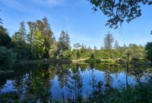 Bear Creek Redwoods Open Space Preserve景点图片