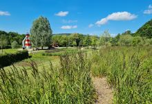 Spielplatz Im Saargarten景点图片