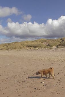 Nørlev Strand-Norlev Strand