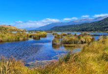 Waiau Fisheries and Wildlife Habitat Enhancement Trust - Rakatu Wetlands景点图片