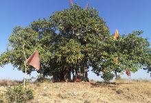 Hanuman Temple Paankhedi景点图片