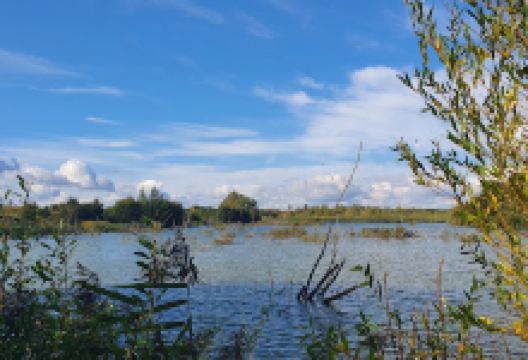 Willows Lakes景点图片