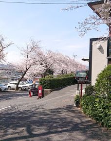 Shinozaki Hachiman Shrine-北九州