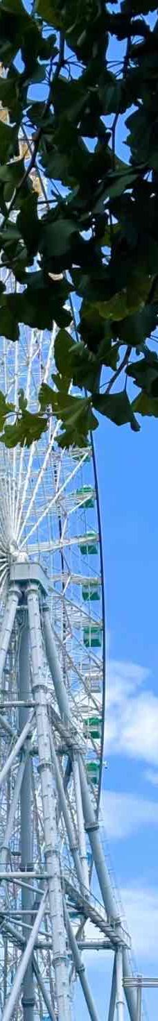 天保山摩天轮-大阪