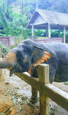 Ton Pring Waterfall-泰孟