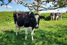 Brook House Farm Certificated Site景点图片