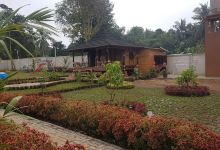 Dwi's Garden景点图片