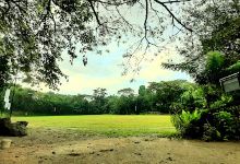 Muttaiya Muralidaran Play Ground景点图片