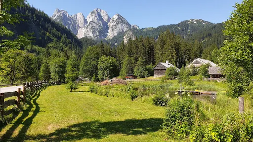 Urzeitwald