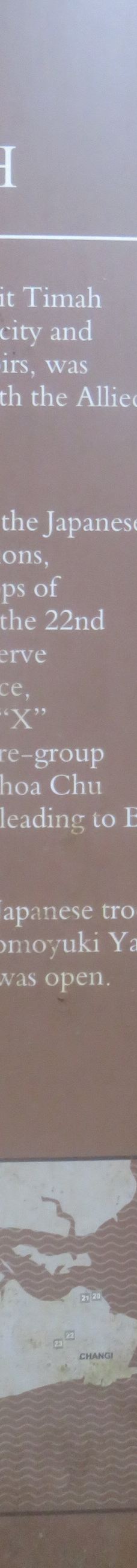 武吉知马天然保护区-新加坡