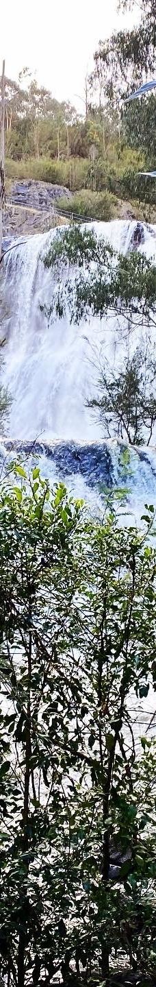 Maroondah Reservoir Park-希尔斯维尔