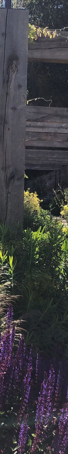 宁布鲁宫和花园-Beningbrough