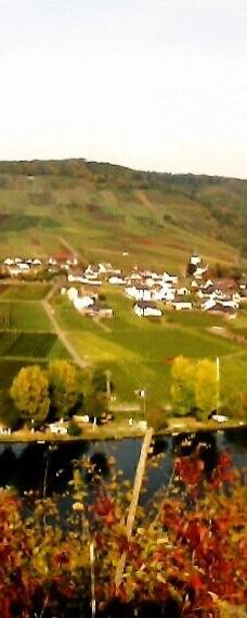 Metternich Castle-拜尔施泰因