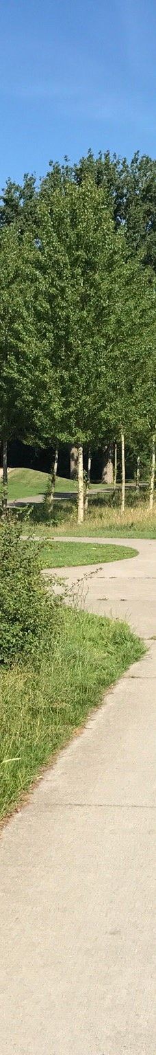 Park De Wezenlanden-兹沃勒