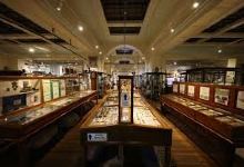 Whitby Museum景点图片