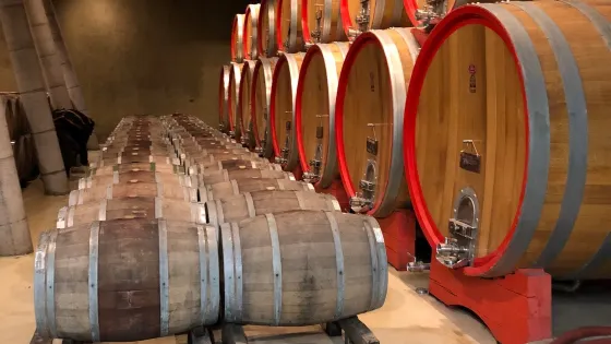Bodegas RE