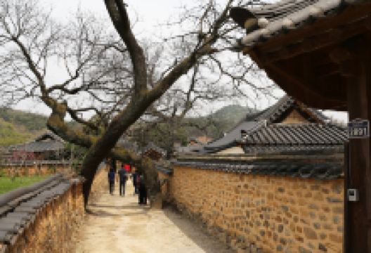 Namsa Yedamchon Village景点图片