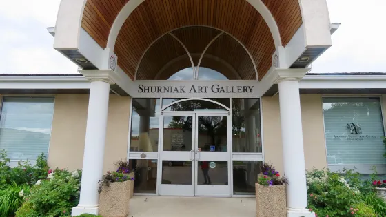 Shurniak Art Gallery