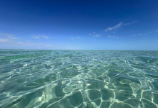 Long Bay Beach景点图片