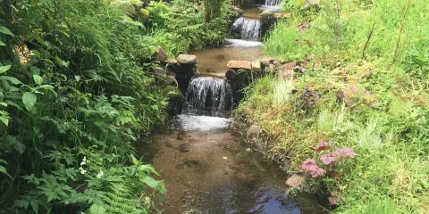 Jardin Et Objets Des Panrees