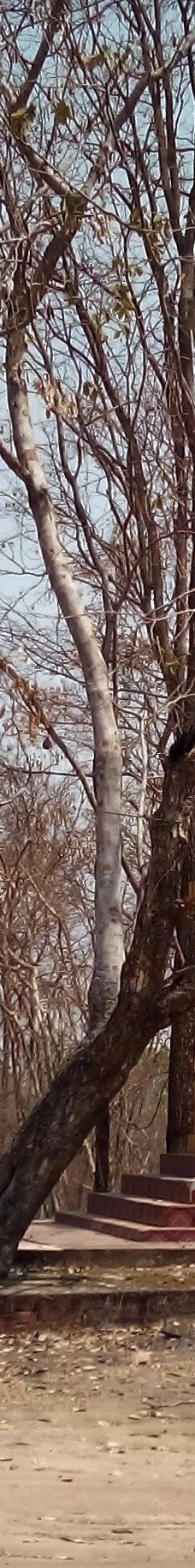 Chomphet Stone Sculpture Village and Temple Complex-巴色