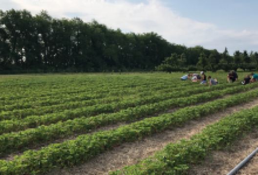 Monroe's Orchard and Farm Market景点图片