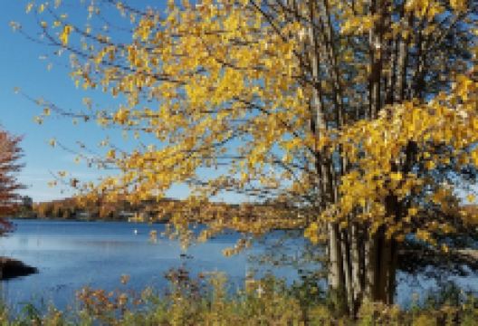 Haliburton Skyline Park景点图片