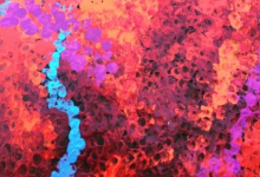 Western Desert Art Movement景点图片