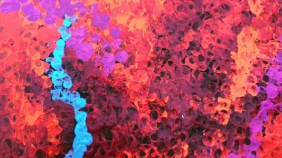 Western Desert Art Movement