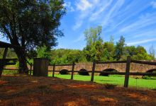 Ponte medieval do Rio Marnel景点图片