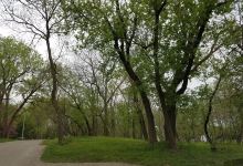 Nature Park景点图片