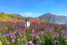 Northern Blossom Flower Farm景点图片