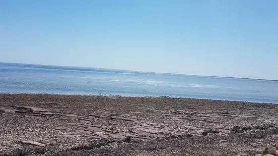 Weroona Island