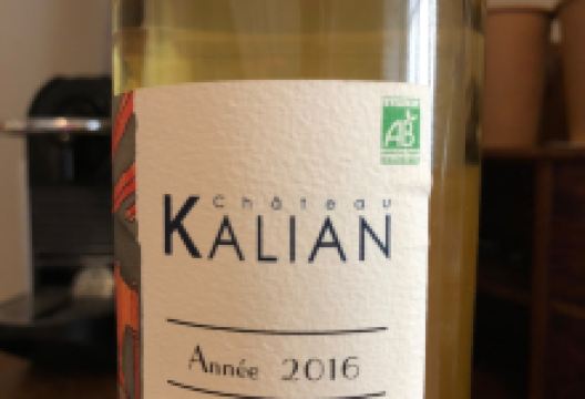 Chateau Kalian景点图片