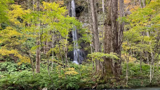 白糸の滝