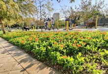 Park sangi景点图片