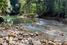 Sungai Chemerong景点图片