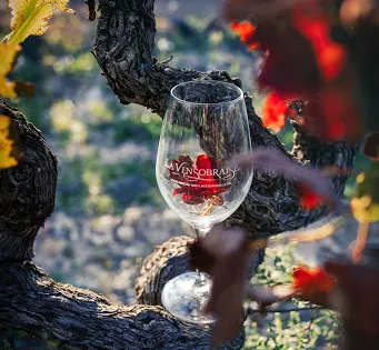 Cave La Vinsobraise