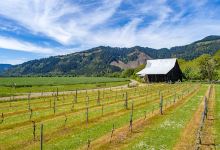 Umpqua Valley Winegrowers Association景点图片