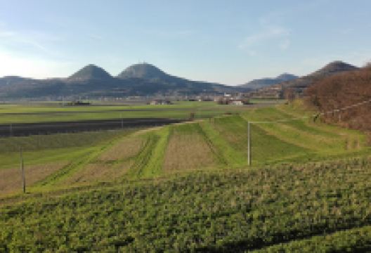 Villa Cà Barbaro景点图片