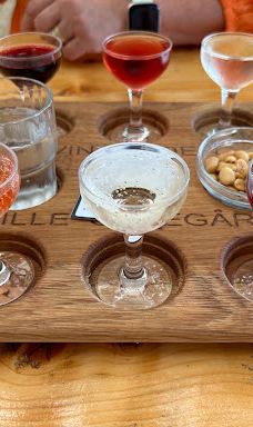 Vingaarden, Lille Gadegaard ( Vineyard )-阿克尔科拜