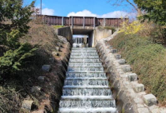 Vitalpark Bad Sachsa景点图片