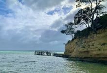Island Bay景点图片