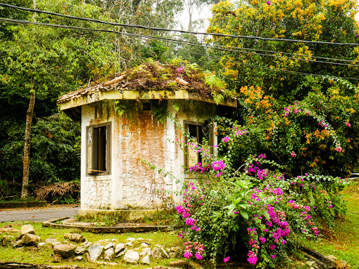 RIMBA CAFE. PENANG餐厅图片