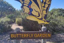 Butterfly Garden景点图片