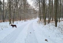 Lesnícky náučný chodník Stará Myjava景点图片