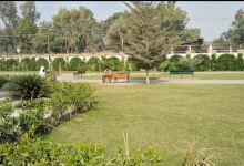 Benazir Bhutto Family Park Sukkur景点图片