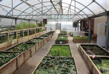 Aquatic Gardens of Ohio购物图片